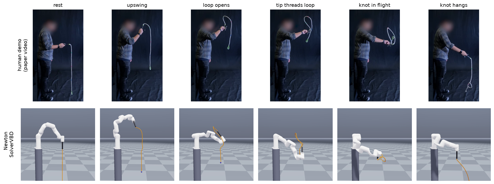 Human demo vs Newton simulation phase comparison